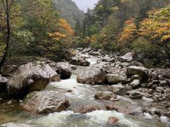 -青峰峡国家森林公园