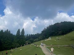 -神户市立六甲山牧场