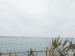 -天津妈祖文化园