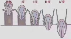 点击看大图 -昕孕瑜伽·孕妇瑜伽·产后修复