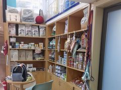 -宠颐生宠物医院·心肾内科·猫专科诊疗中心宠巢店