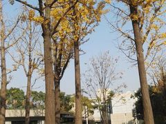 -巴黎贝甜(大宁国际商业广场店)