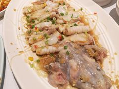 东坡江团鱼-眉州东坡·熊猫主题餐厅(枫蓝店)