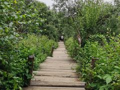 -白草畔自然风景区