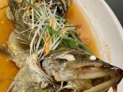 清蒸桂鱼-乡下姥渔馆(齐落山路店)