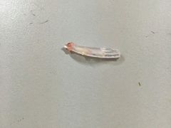 -85度C(上海松江九亭店)