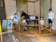 -上海崇明金茂凯悦酒店