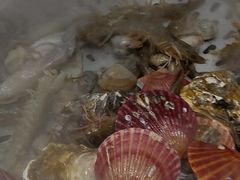 -大锅强·蒸海鲜青岛菜(吾悦广场店)