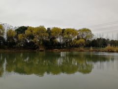 -梁鸿国家湿地公园