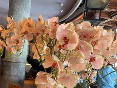 -八府香鸭·啫啫煲(华山路店)