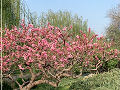 -元大都城垣遗址公园