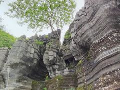 -梭布垭石林景区