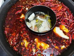 鸳鸯锅底-肥龙火锅(南坪店)