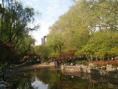 -莹珠阁·私房菜