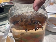 -邵年鸽(杨庄店)