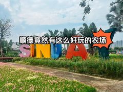 -新地休闲农场