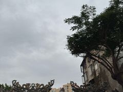 -老妈宫粽球