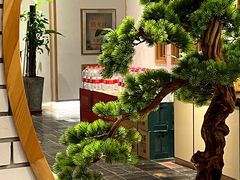 -瓦舍茶馆(聚源路店)