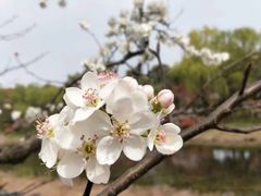 -尚贤河湿地