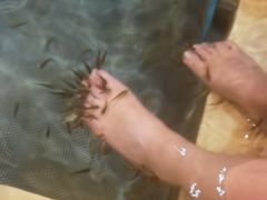 -中家鑫园温泉酒店鑫悦汤泉