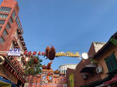 -马六甲鸡场街