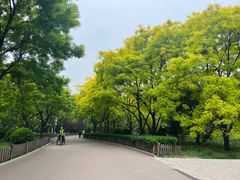 -莲花池公园