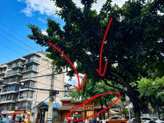 -土连锅·现熬养生汤锅(梁家巷店)