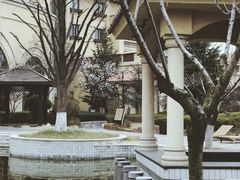-青岛香根温泉酒店