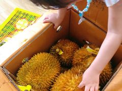 榴莲-西郊国际农产品交易中心