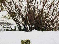 -尚贤河湿地