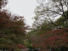 -秋霞圃
