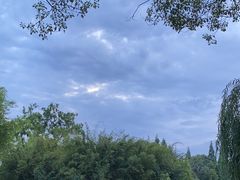 -棠湖公园