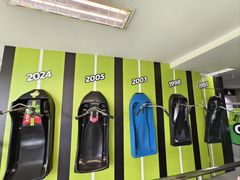 -圣淘沙天际线斜坡滑车