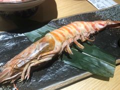 -紫· 割烹  Kappo Murasaki