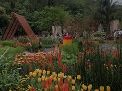-深圳仙湖植物园
