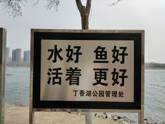 -丁香湖公园