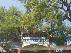 门面-北京国子监胡同