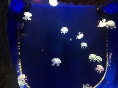 -台州海洋世界