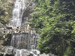 -鼎湖山风景区