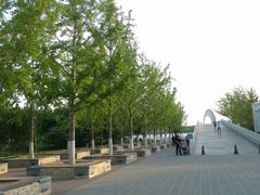 -大兴滨河森林公园