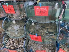 -东来菜馆•手抓海鲜家常菜•海鲜锅贴(鸽子窝店)