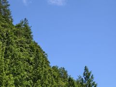 -神龙峡风景区