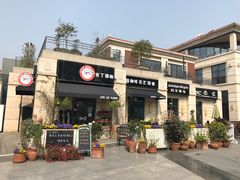 -吉丁鸟咖·异宠·寄养