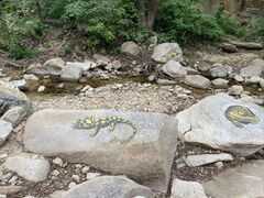 -黑龙潭风景区
