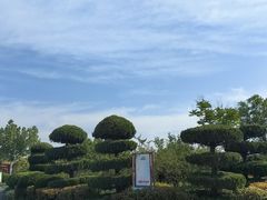 -徒骇河公园