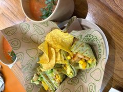 -油梨树 AVOCADO TREE(亮马桥店)
