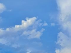 -特克斯八卦城