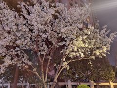 -玛格萝妮比萨屋(四平店)