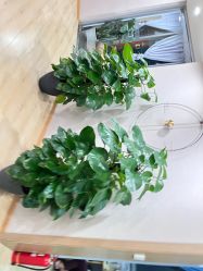 -酉嘉瑜伽YO+YOGA