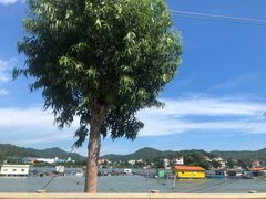 -盐洲岛